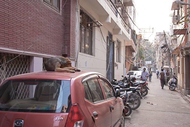 Guest house Balaji Atithi Ashray